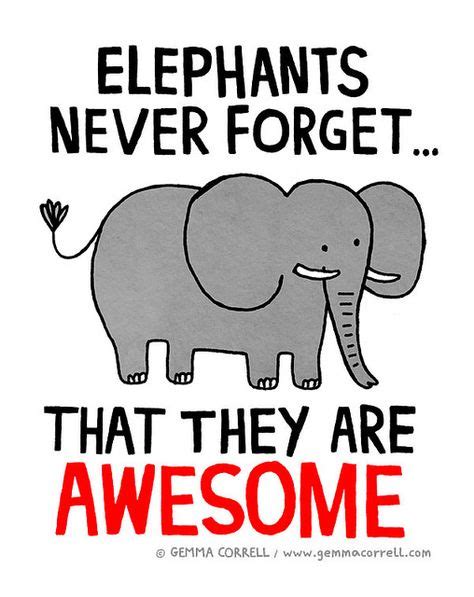 Save interesting thoughts, quotations, films, technologies…the medium doesn't matter, so long as it. elephant | Elephants never forget, Elephant quotes, Elephant