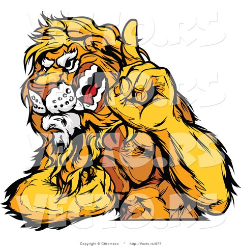 Vector Of A Dominant Lion Mascot Flexing Muscles While Growling And