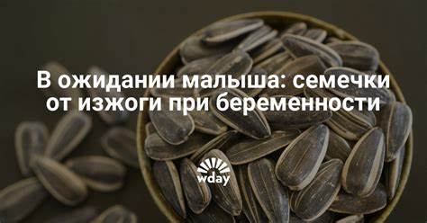 Диета 4 семечки Можно при диете семечки есть – Диета на семечках подсолнуха: результаты Можно при диете семечки есть – Диета на семечках подсолнуха: результаты Диета 4 семечки