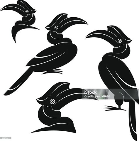 Burung Enggang Ilustrasi Stok Unduh Gambar Sekarang Rangkong