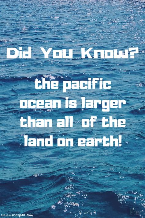 Pacific Ocean Animals Facts