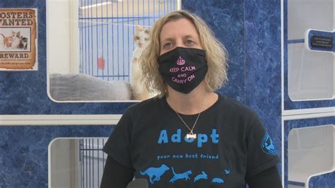 Windsor-Essex humane society says online adoptions a success | CBC News