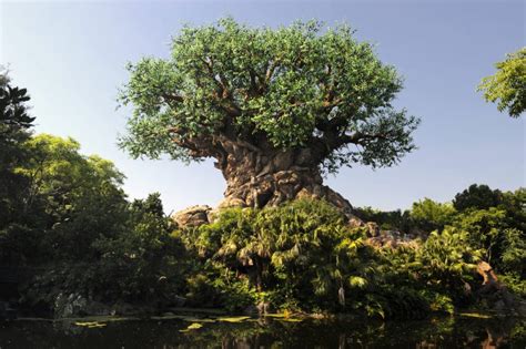 Disney’s Animal Kingdom 20th Anniversary Celebration - Travel to the Magic