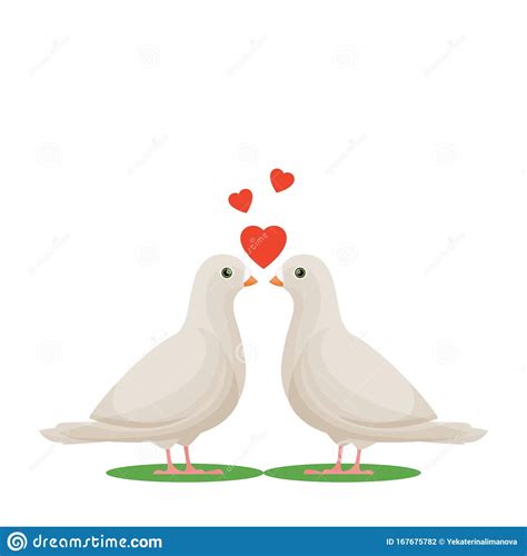 Two White Doves In Love Love Birds Stock Vector Illustration Of