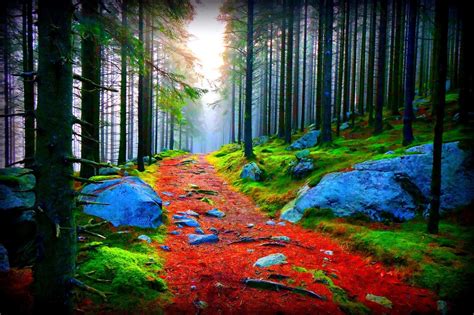 pathway wallpapers most beautiful places in the world download free wallpapers