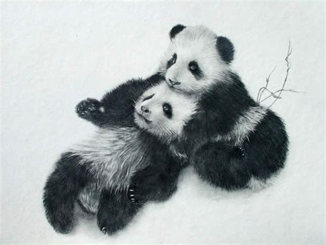 In comparison to human figure, animals are quite difficult because of their fur, feathers, scales, and their various skin. beautiful pencil and charcoal representations of reality. | Baby animal drawings, Realistic ...