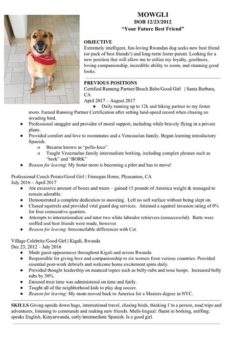 I'd like some pointers on what to include in the email to my friends. Man Creates Sweet Resumé for Dog Mowgli Seeking a New ...