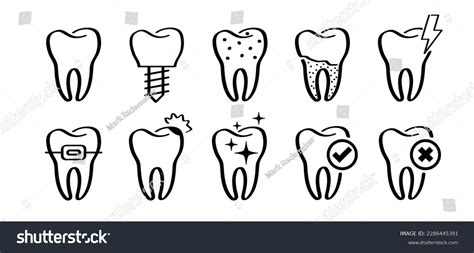 Cartoon Healthy Tooth Gums Molar Line Stock Vector Royalty Free