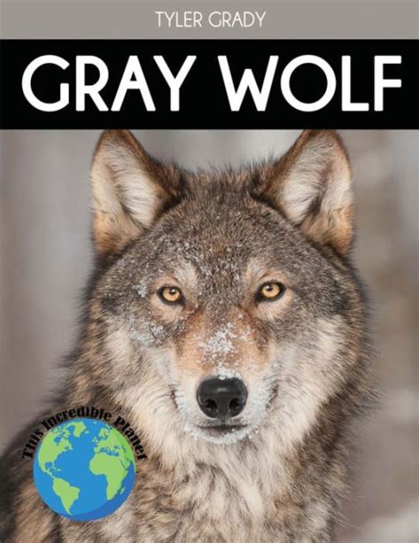 Gray Wolf Fascinating Animal Facts For Kids By Tyler Grady Paperback