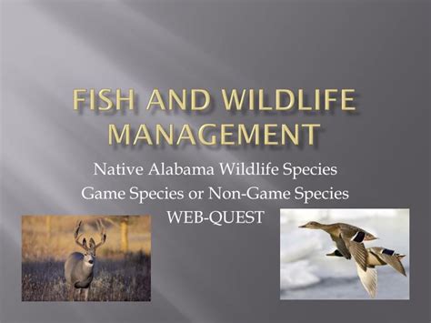 PPT - Fish and wildlife management PowerPoint Presentation, free ...