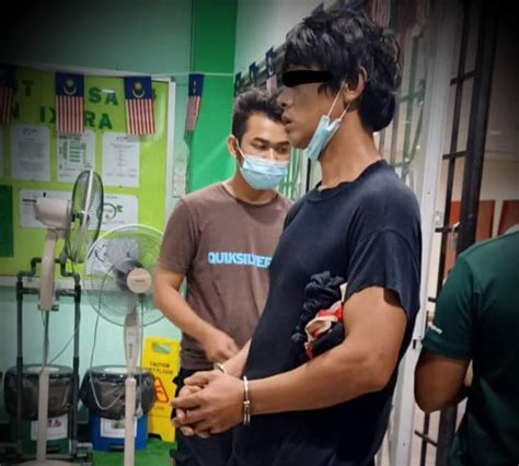 Lelaki Thai Ditahan Ceroboh Taman Negeri Royal Belum Utusan Malaysia