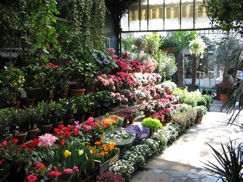 French market flowers is located in atlanta city of georgia state. Paris flower market | Simply Bloom | Pinterest