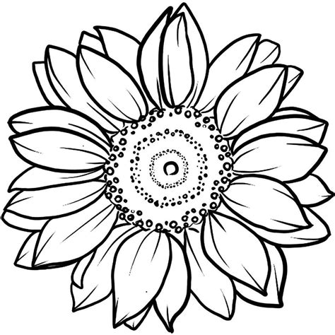 Gambar Sketsa Bunga Matahari Bunga Cantik Dengan Warna Menarik