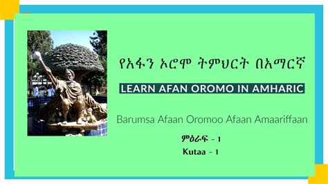 ክፍል 1 የአፋን ኦሮሞ ፊደላት Kutaa 1፡ Qubee Afaan Oromoo Youtube