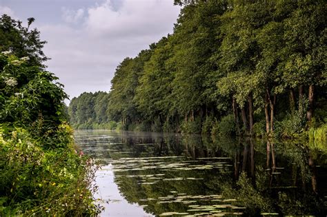 Wallpaper River Nature Water Plants Trees Summer 2048x1365