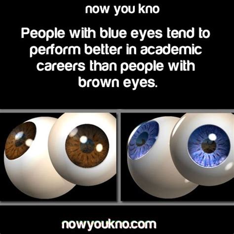 Pin By Hailey Raines On Facts With Images Blue Eye Facts Blue Eye