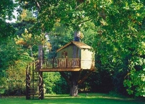 Top 10 Most Amazing Tree Houses Around The World