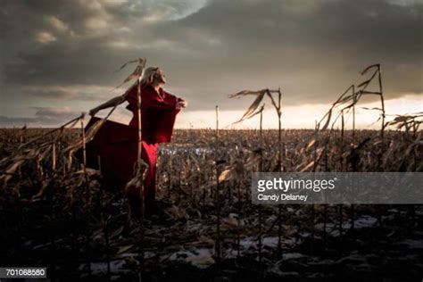 Creepy Cornfield Photos And Premium High Res Pictures Getty Images