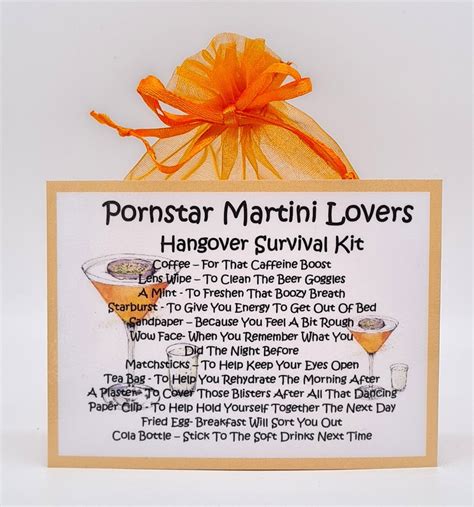 pornstar martini lovers survival kit fun novelty t and card etsy
