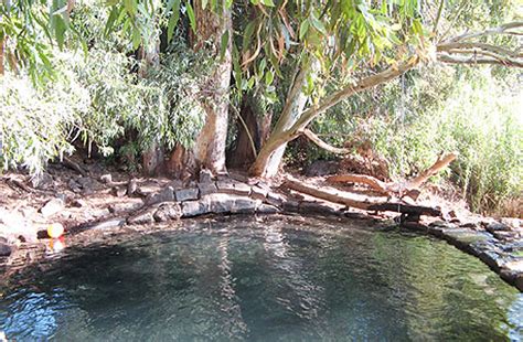 מסביב לבקתה דשא רחב ידיים, גינה מטופחת עם צמחי תבלין, ערסלים, ומרפסת. רמת הגולן | סיפור דרך