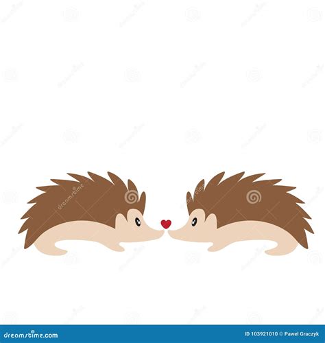 Two Cute Hedgehogs In Love Stock Vector Illustration Of Hedgehog