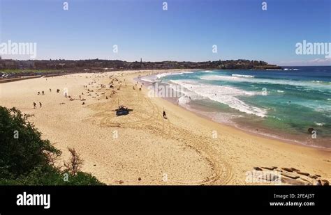 sunbathing on bondi beach stock videos and footage hd and 4k video clips alamy