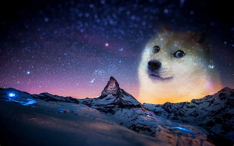 48 Doge Space Wallpaper