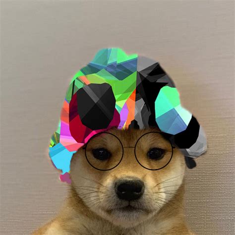 Pin By Jonathan Carrisoza On Lol Cute Animals Dog Hat Dogs