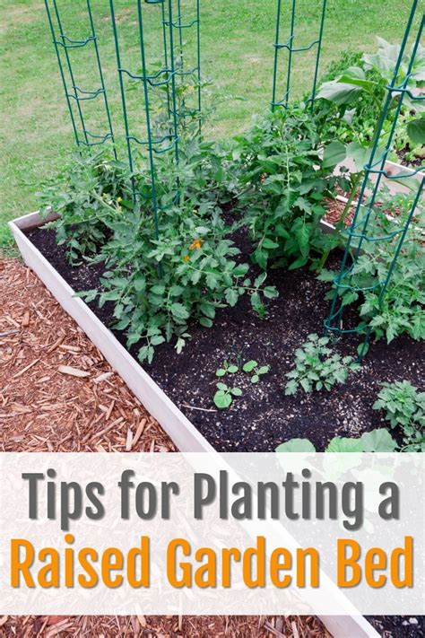 A raised garden bed, commonly called a raised bed, is a container that is filled with plants and soil, and it is raised above the ground. Tips for Planting a Raised Garden Bed