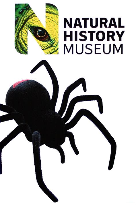 Natural History Museum Logo Natural History Museum Logo Natural