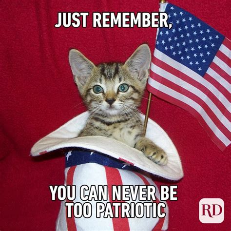 Funny Independence Day Memes For Kids Laporte Houseenjut