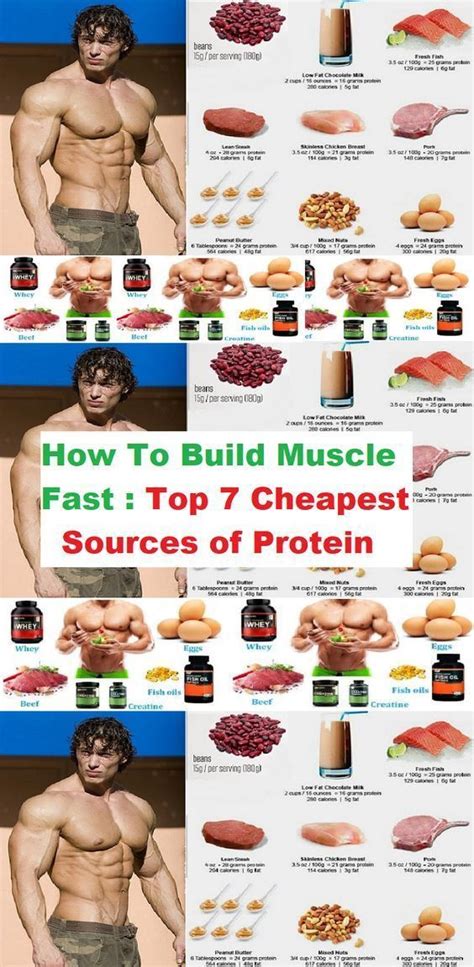 How To Build Muscle Fast Top 7 Cheapest Sources Of Protein
