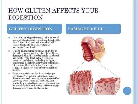 Ppt Whats The Deal With Gluten Powerpoint Presentation Free