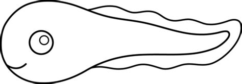 Tadpole Clipart Black And White Clipart Best