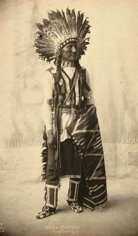 White Buffalo Southern Cheyenne 1898 Native American Indians American Indian History