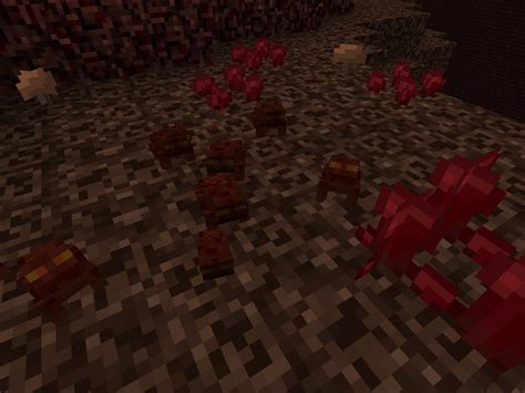 Nether Toads R Minecraftsuggestions