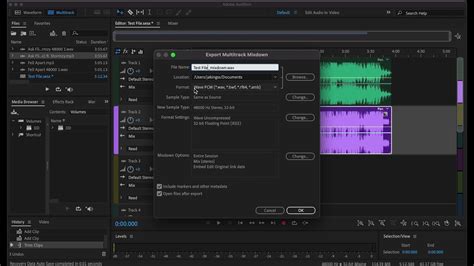 Adobe Audition Tutorial Best Export Settings Youtube