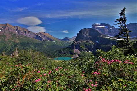 Grinnell Lake Glacier National Park Photograph By David Thompson