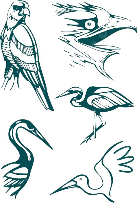 Birds Vector Illustration Vector Beaks Animals Vector Vector Beaks