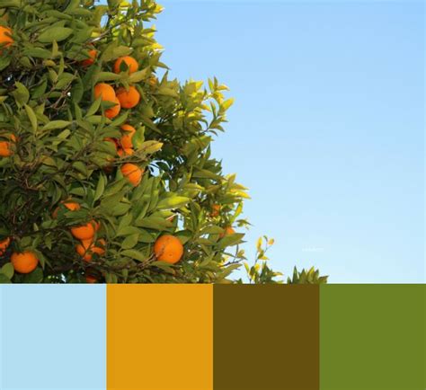 Get Inspired By Color Combination Sun Drenched Oranges And