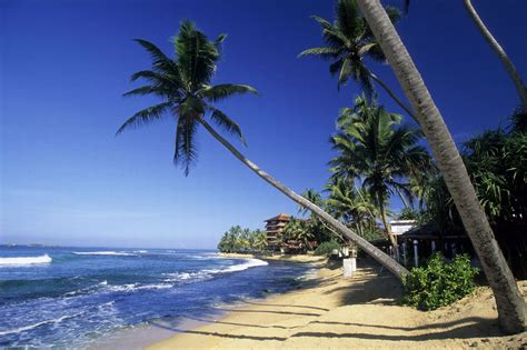 Best Beaches In Sri Lanka That Need To Go On Your Bucket List Right Now