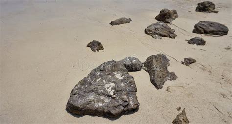 A Large Rock On The Beach Stock Photo Image Of Large 143762156