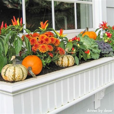 Send an autumn floral arrangement with sunny yellows, velvety reds, and stunning harvest hues for a wonderful way to surprise and delight someone special in your life, from a parent or sibling to a best friend or deserving coworker. Best of Fall: Decorating Ideas & Inspiration | Fall window ...