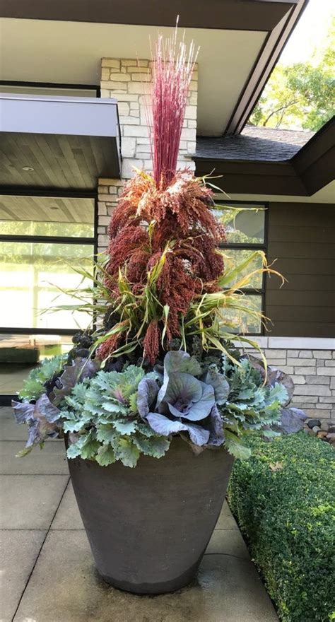 Recent Work Dirt Simple Fall Containers Ornamental Cabbage