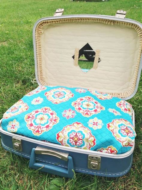 Diy Recycled Suitcase Pet Bed Pet Holiday T