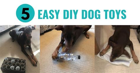 5 Easy Diy Dog Toys To Make From Rubbish Canine Compilation