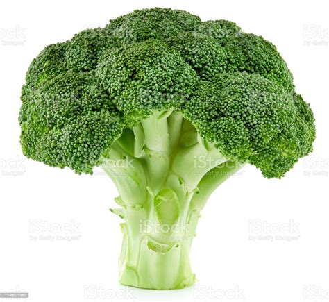 Raw Broccoli Isolated Stock Photo Download Image Now Broccoli