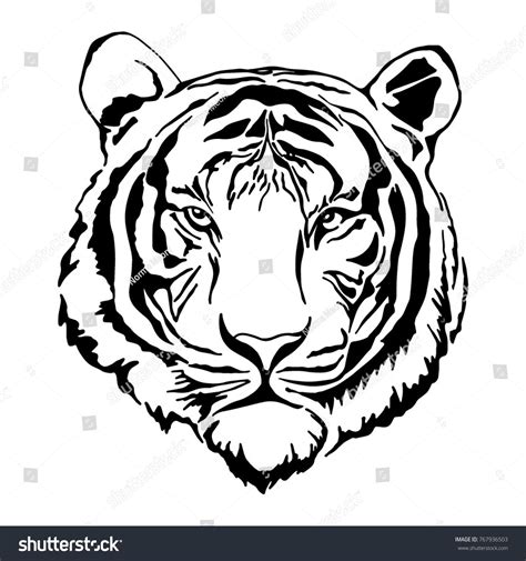 Tiger Head Silhouette Vectorhead Tiger Vector Silhouette Tiger