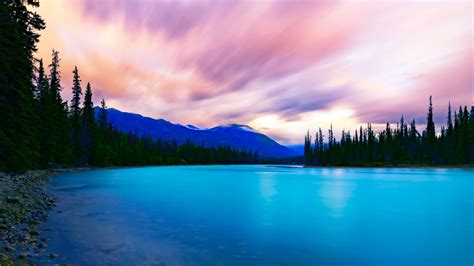 Download Wallpaper 2560x1440 Lake Coast Spruce Trees Mountains Widescreen 169 Hd Background