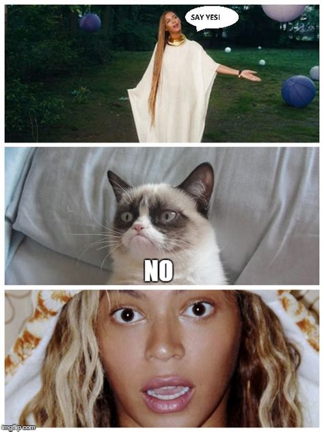 Grumpy Cat Meets Beyonce Imgflip